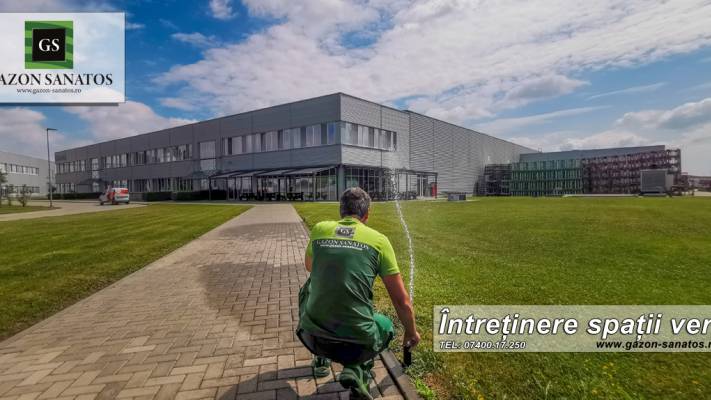 Mentenanta Spatii Verzi